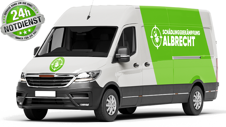 sbk-schadling-transit